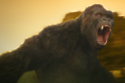 Kong Himself / Picture Credit: Legendary Entertainment