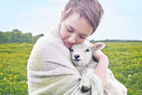 dream-interpretation-what-does-it-mean-to-dream-about-a-lamb