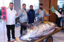 A giant tuna has sold for big money in Japan