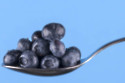 Scientists have discovered why blueberries are blue