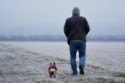 Owning a dog reduces the risk of dementia