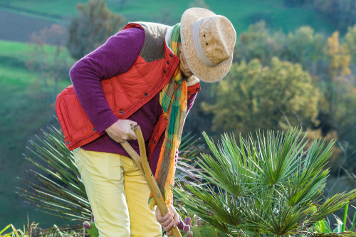 weekly-gardening-could-reduce-the-risk-of-an-early-death