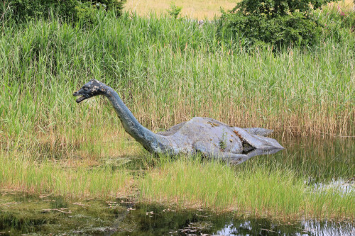 A new sighting of the Loch Ness Monster has been claimed by fanatic Eoin O'Faodhagain