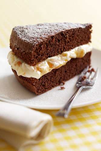 Chocolate and Genoise Sponge by James Martin