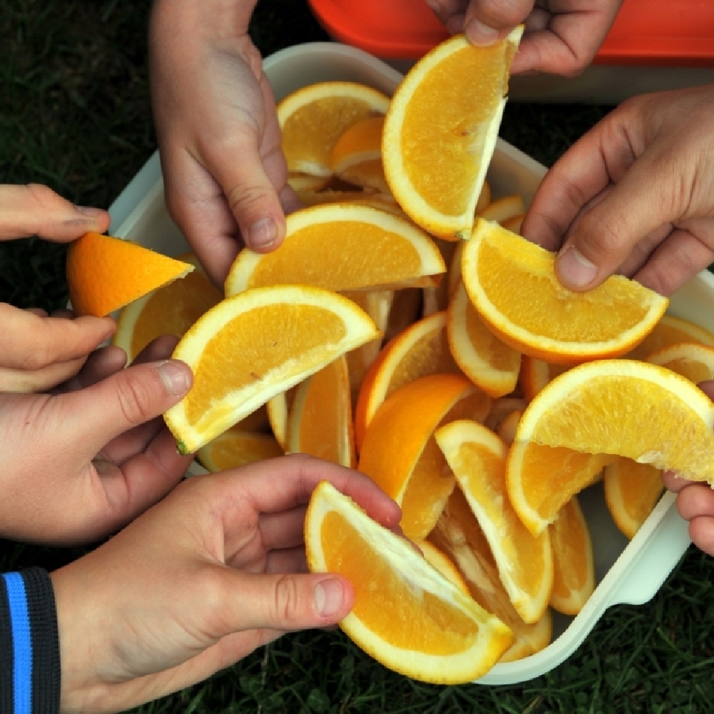 Sporty Kids Have Poor Diet During Half Time Sports