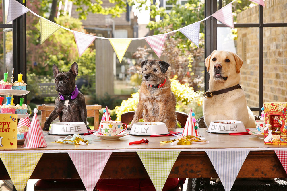 Dog Birthday Party Decorations Image