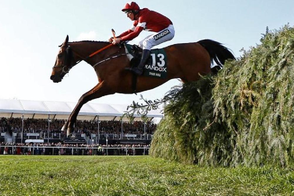 Grand National Favorite Tiger Roll