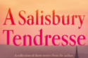 A Salisbury Tendresse: Radu Herklots