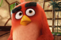 Angry Birds The Movie