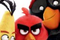 The Angry Birds