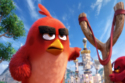 The Angry Birds Movie