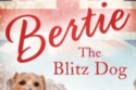 Bertie The Blitz Dog