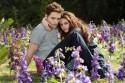 The Twilight Saga: Breaking Dawn - Part 2