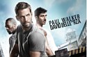 Brick Mansions