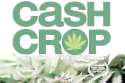 Cash Crop