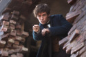 Fantastic Beasts and Where to Find Them