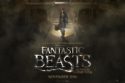 Fantastic Beasts and Where to Find Them