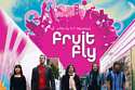 Fruit Fly DVD