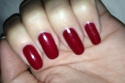 Malaga Wine OPI