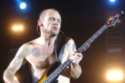 Flea