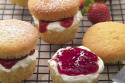 Mini Golden Victoria Sponges