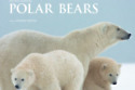 Polar Bears