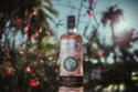 Puerto de Indias strawberry gin