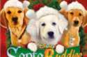 Santa Buddies DVD