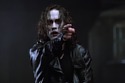 The Crow