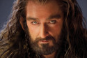 Thorin Oakenshield