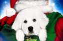 The Search For Santa Paws DVD