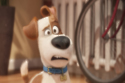 The Secret Life of Pets