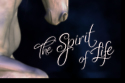 The Spirit of Life