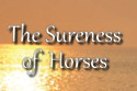 The Sureness of Horses