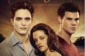 Twilight Saga: Breaking Dawn - Part 1