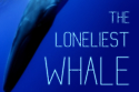 The Loneliest Whale is coming to home release / Picture Credit: ILY Films