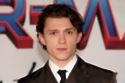 Tom Holland at the Spider-Man: No Way Home LA premiere