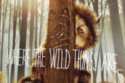 Where The Wild Things Are DVD