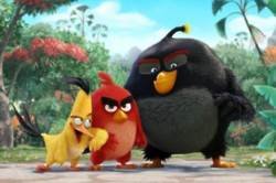 Angry Bird Teaser Trailer