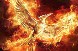 The Hunger Games   Mockingjay Part 2 Teaser