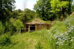 Rustic Roundhouse