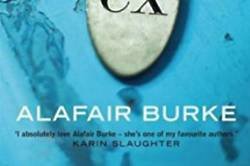 the ex by alafair burke