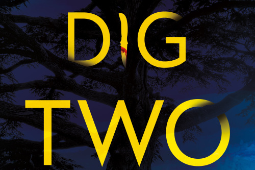 Crime Thriller - Dig Two Graves by Gigi Johnson