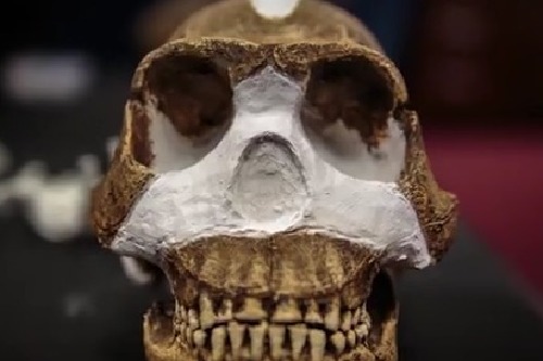 Homo Naledi: Ground-breaking Discovery in South Africa