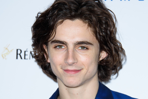 The rise of the 'Beautiful Boy', Timothée Chalamet