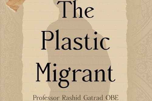 The Plastic Migrant rags to riches