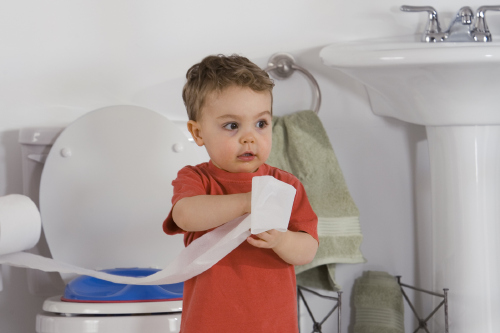 Expert Tips: Potty Training Advice from Dry Like Me