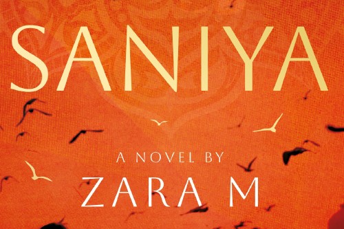 Set In 21st Century Lahore Pakistan Saniya By Author Zara M