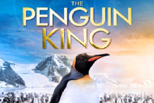 The Penguin King 3D Review