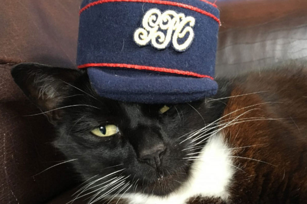 A cat has become the mayor of Hell